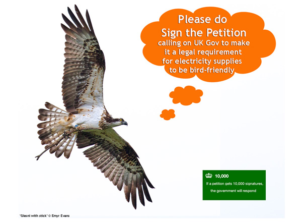 Compiled image inviting to sign on-line petition