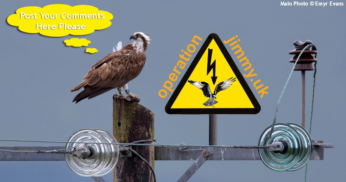 image with Osprey sitting on a power pole with caption Please Post Your Comments Here and also featuring logo