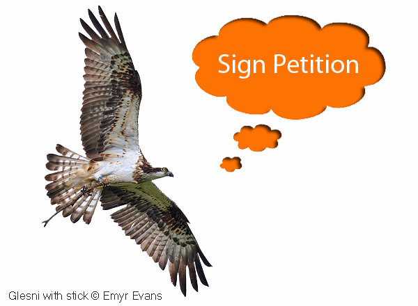 image compilation of an Osprey in flight © Emyr Evans with a speech bubble 'Sign Petiton' and a small box citing the need for 10,000 signatures