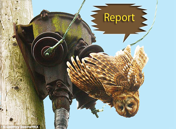 Example of a Killer Pole