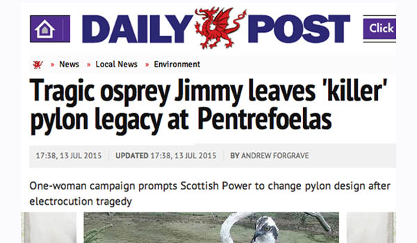 Article by North Wales Daily Post entitled 'Tragic Osprey leaves Killer Pole Legacy