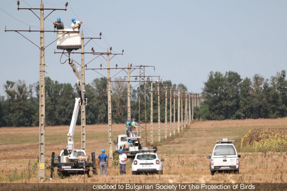 the dangerous power line in Bulgaria undergoing the retrofit with insulators