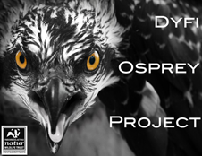 Logos for Dyfi Osprey Project
