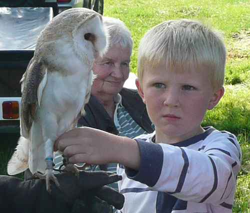 Image of Val Wilkinson with a boy holding a Barn Owl