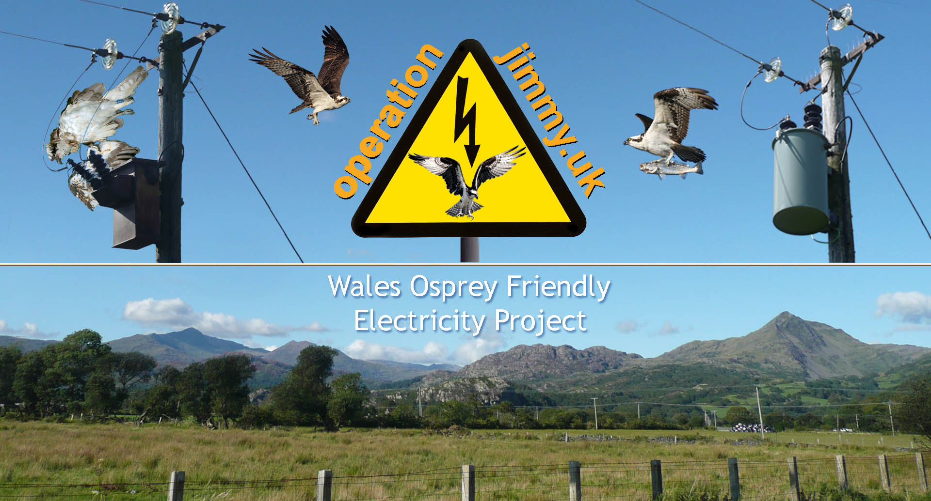 Operation Jimmy making electricity safe for Ospreys & all birds