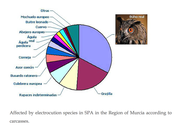 Pie Chart of incidence of birds elctrocuted in Spain's region og Murcia