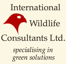 Operation Jimmy Logo as symbol of website