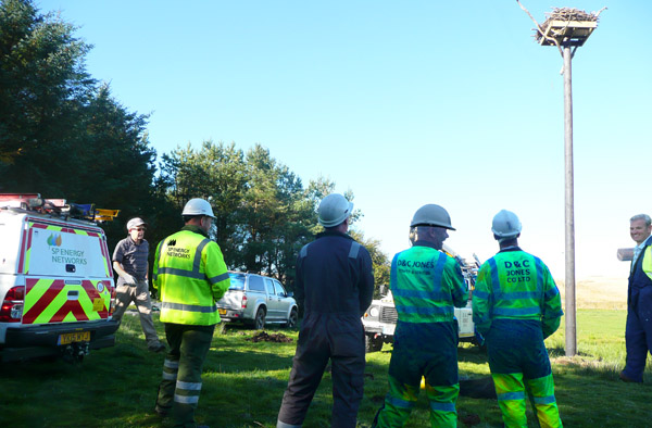 Image of the Osprey pole nest team as an example of joint working