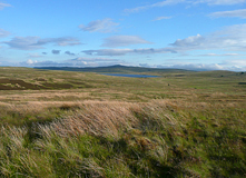 View across Hiraeth Moor where 3 consenting landowners have been found