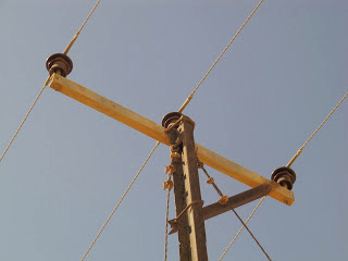showing the construction of the lethal powerline which electrocuted hundreds of vultures