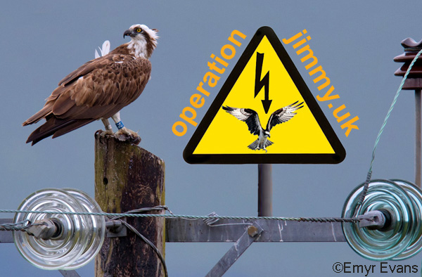 Osprey on Power Pole ? Emyr Evans with 'Operation Jimmy' logo