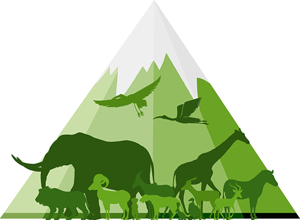 Vector silhouette wild animals within a mountain
