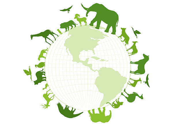 vecteezy green silouette of wild animals to represent the project's ethos and values