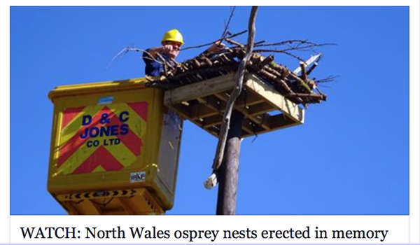 Scottish Power, D&C Jones and Friends of the Ospreys in action with a pole nest