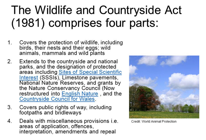 Slide showing 4 parts to the Wildlife and Countryside-Act-1981